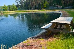 Pond