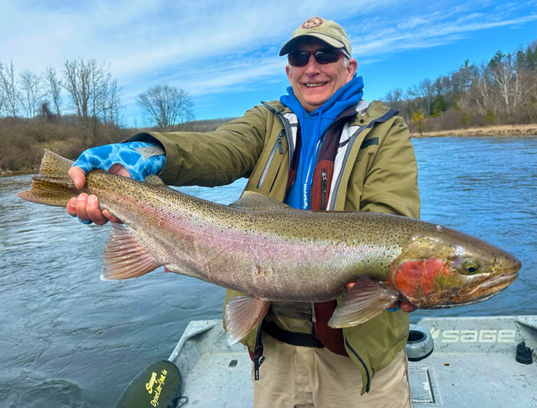 Steelhead
