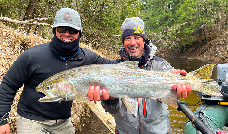 Wild Steelhead