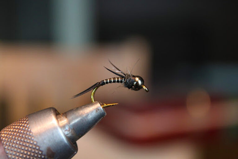 Fishing Report - May 10th, 2024