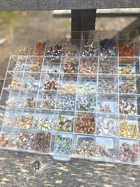 Fly Assortment