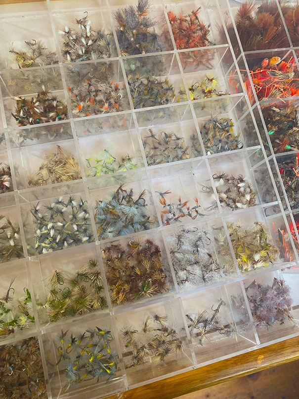 Fly Assortment #1