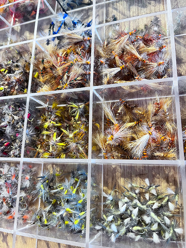 Trout flies
